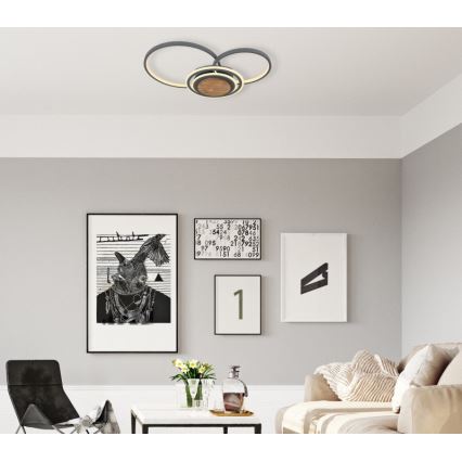 Globo - LED Stropné svietidlo LED/40W/230V