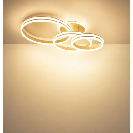 Globo - stmievateľné LED stropné svietidlo 72W/230V 3000K 79,5x50 cm