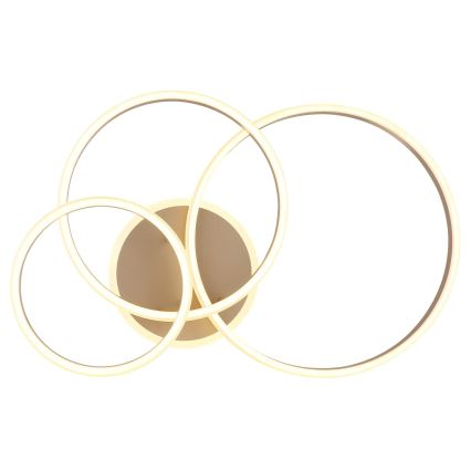 Globo - stmievateľné LED stropné svietidlo 72W/230V 3000K 79,5x50 cm