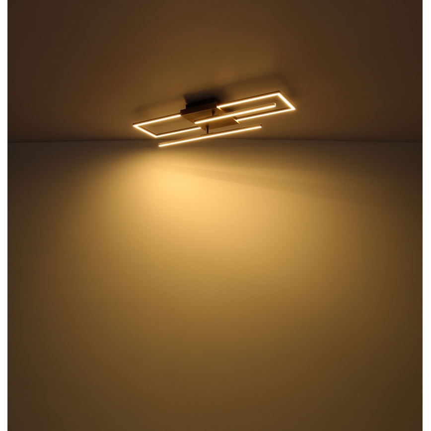 Globo - LED Stropné svietidlo LED/18W/230V