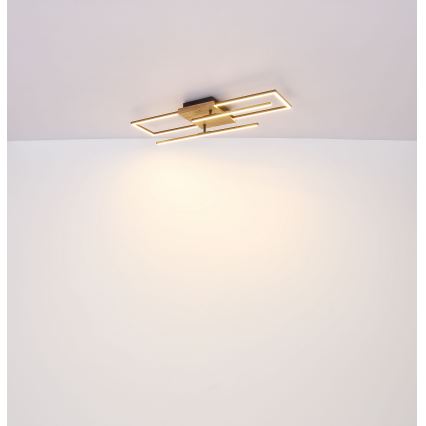 Globo - LED Stropné svietidlo LED/18W/230V