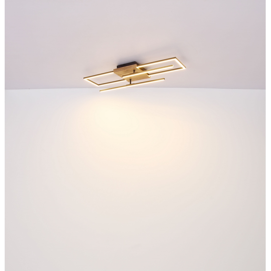 Globo - LED Stropné svietidlo LED/18W/230V