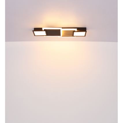 Globo 67279-30 - LED stropné svietidlo CAROLINE LED/30W/230V 25x71,5 cm béžová/čierna