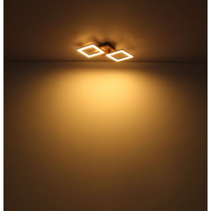 Globo - LED Prisadený luster LED/30W/230V