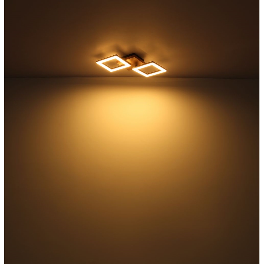 Globo - LED Prisadený luster LED/30W/230V