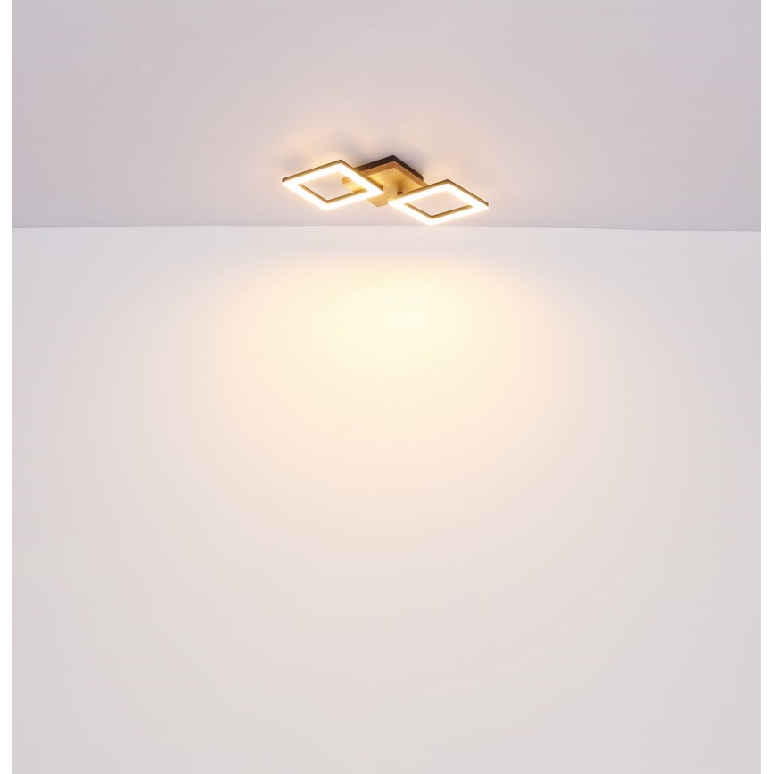 Globo - LED Prisadený luster LED/30W/230V