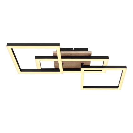 Globo - LED Stropné svietidlo LED/24W/230V 3000K