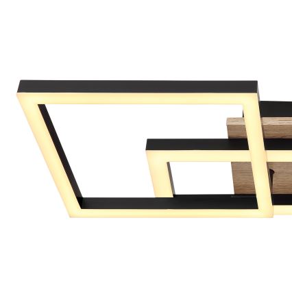 Globo - LED Stropné svietidlo LED/24W/230V 3000K