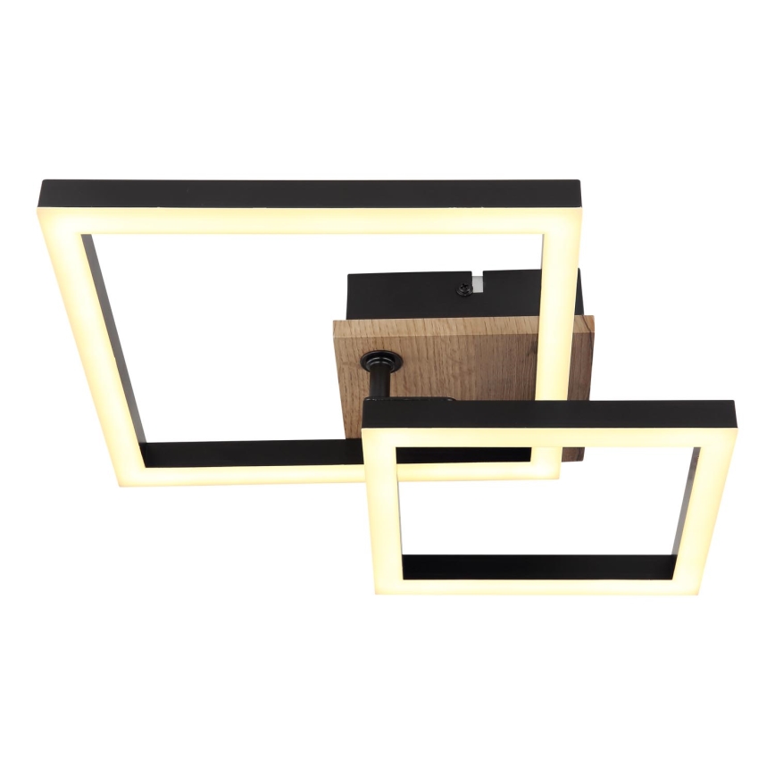 Globo - LED Stropné svietidlo LED/15W/230V 3000K