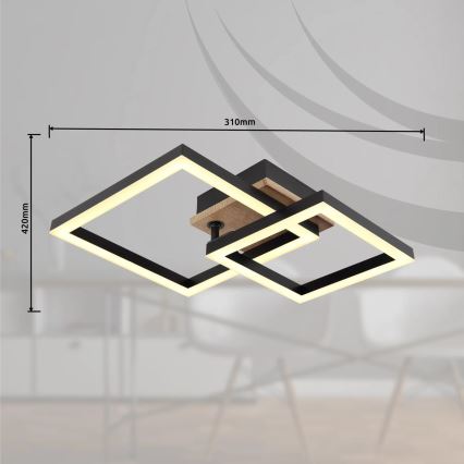 Globo - LED Stropné svietidlo LED/15W/230V 3000K