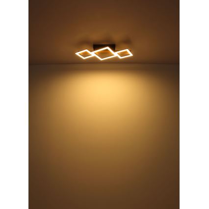 Globo - LED Stropné svietidlo LED/29W/230V
