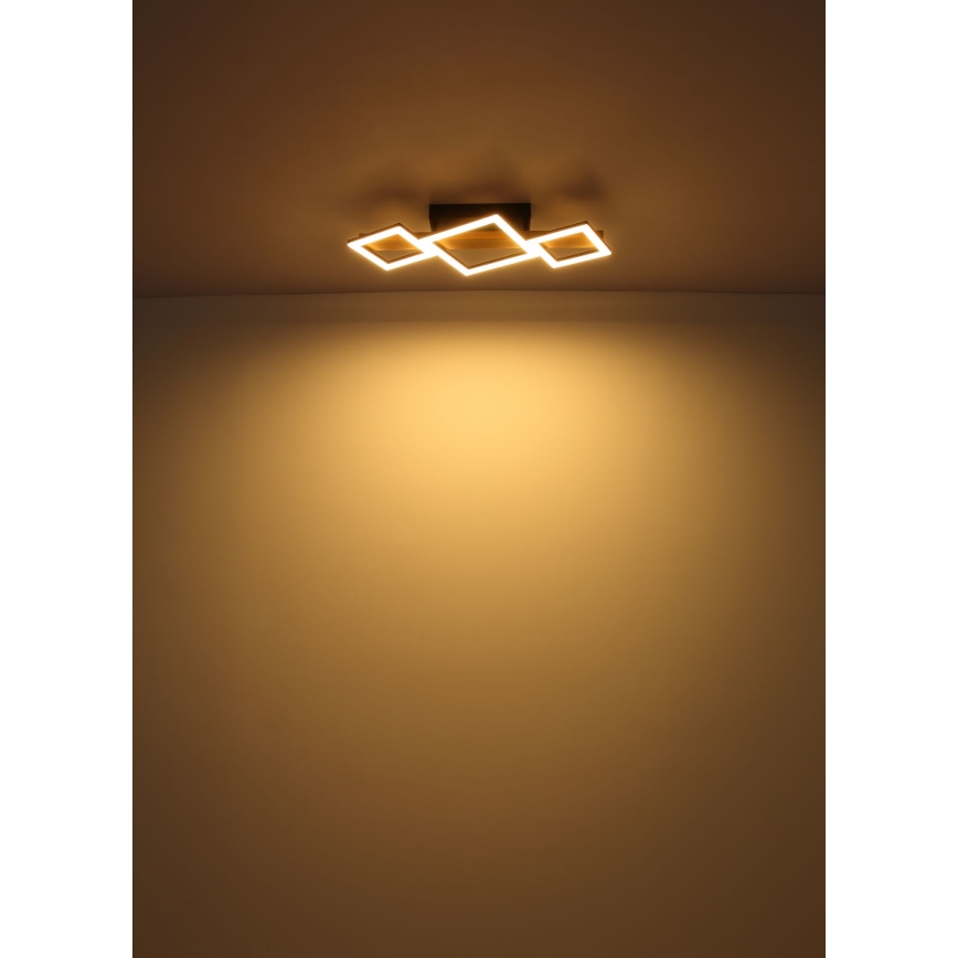 Globo - LED Stropné svietidlo LED/29W/230V