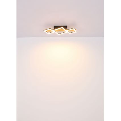 Globo - LED Stropné svietidlo LED/29W/230V