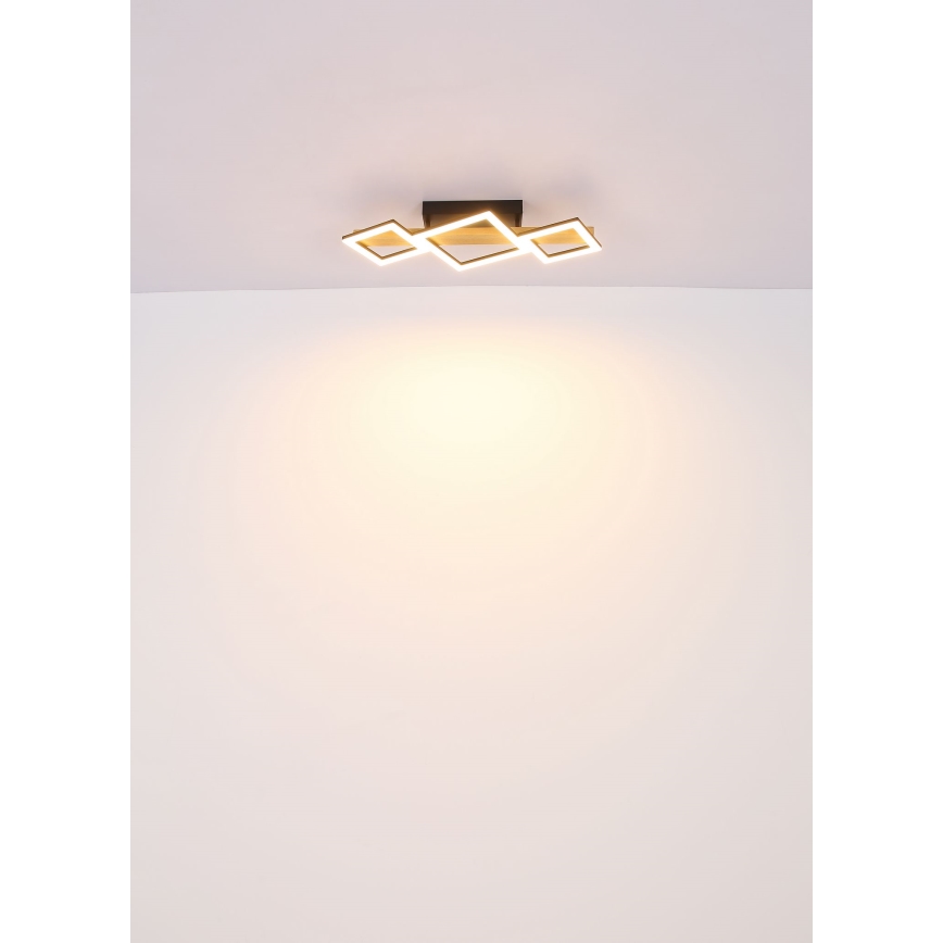 Globo - LED Stropné svietidlo LED/29W/230V