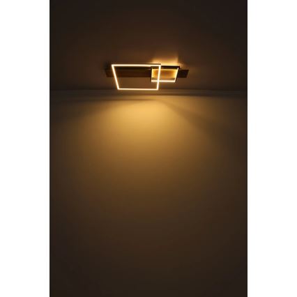 Globo 67289D1 - LED stropné svietidlo VANNI LED/24W/230V 40x75 cm hnedo-čierne