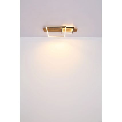 Globo 67289D1 - LED stropné svietidlo VANNI LED/24W/230V 40x75 cm hnedo-čierne