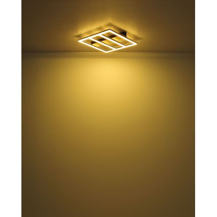 Globo - LED Stropné svietidlo LED/18W/230V 3000K 30x30 cm