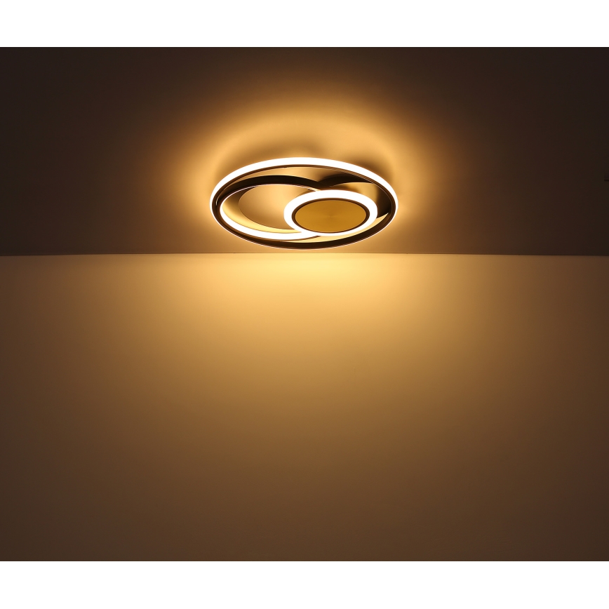 Globo - LED Stropné svietidlo LED/24W/230V