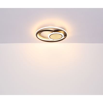 Globo - LED Stropné svietidlo LED/24W/230V