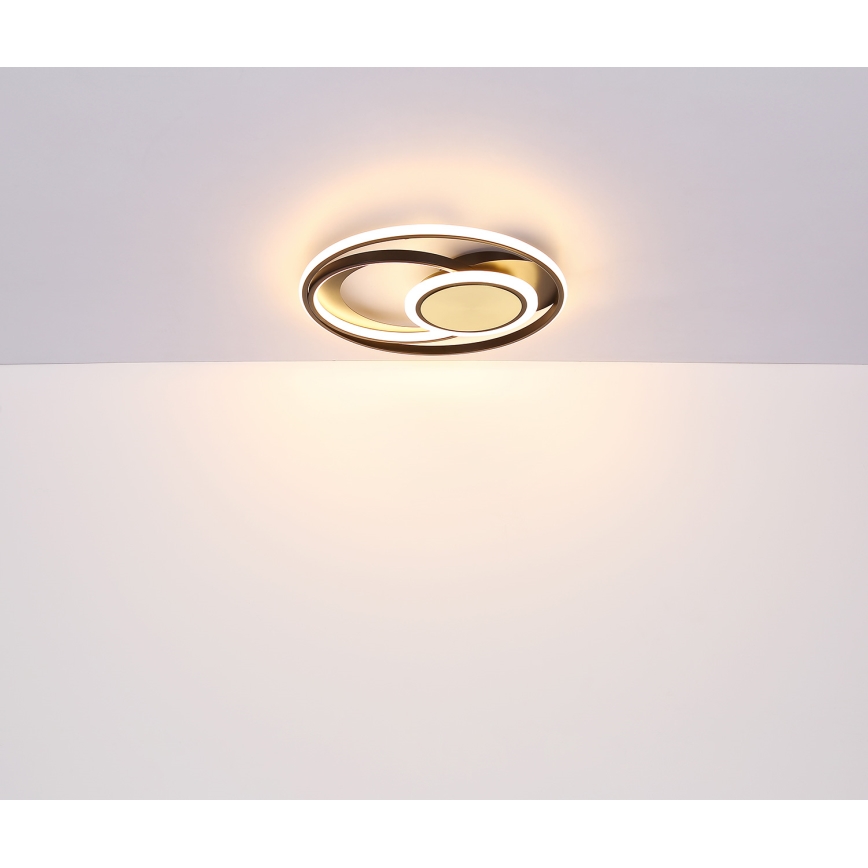 Globo - LED Stropné svietidlo LED/24W/230V