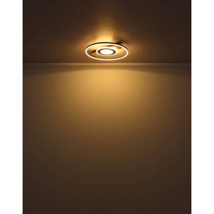 Globo - LED Stropné svietidlo LED/24W/230V