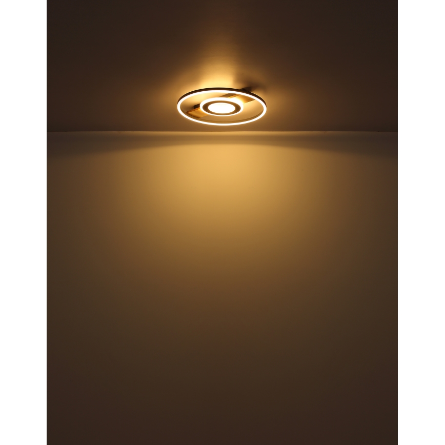 Globo - LED Stropné svietidlo LED/24W/230V