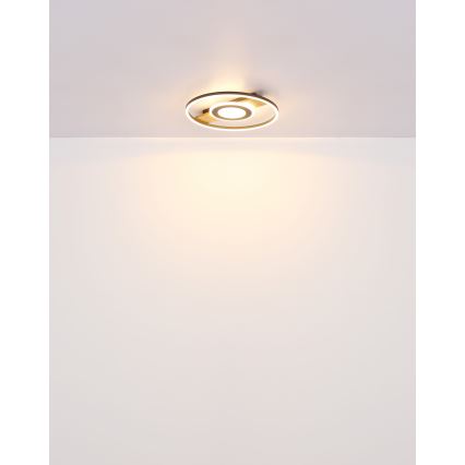 Globo - LED Stropné svietidlo LED/24W/230V