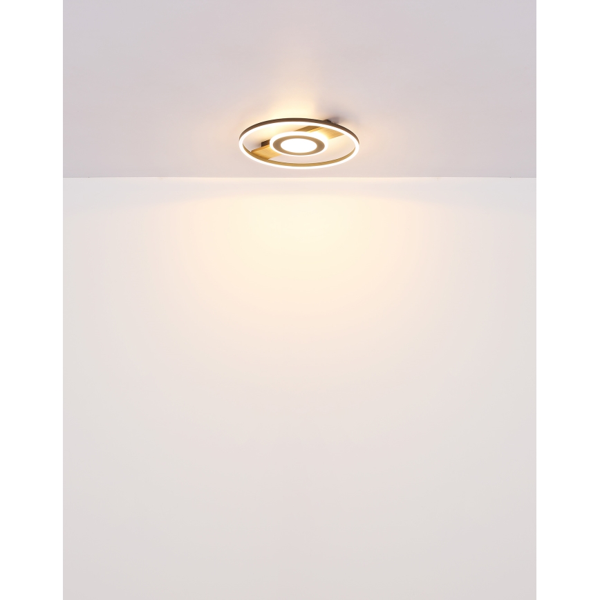 Globo - LED Stropné svietidlo LED/24W/230V