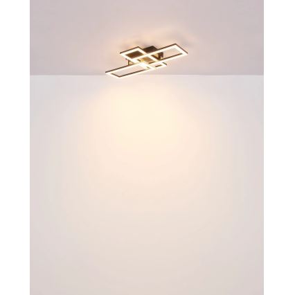 Globo - LED Stropné svietidlo LED/24W/230V