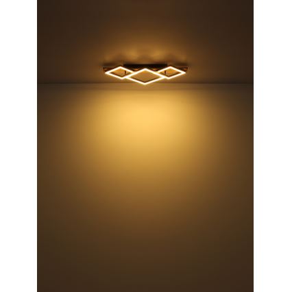 Globo - LED Stropné svietidlo LED/24W/230V
