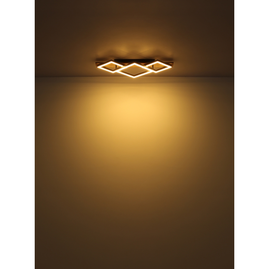 Globo - LED Stropné svietidlo LED/24W/230V