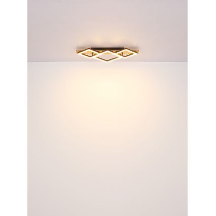 Globo - LED Stropné svietidlo LED/24W/230V