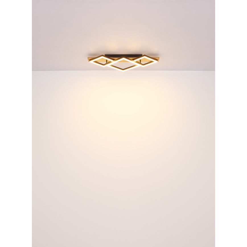 Globo - LED Stropné svietidlo LED/24W/230V