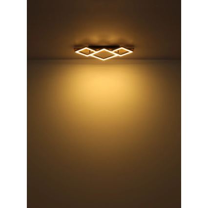 Globo - LED Stropné svietidlo LED/24W/230V