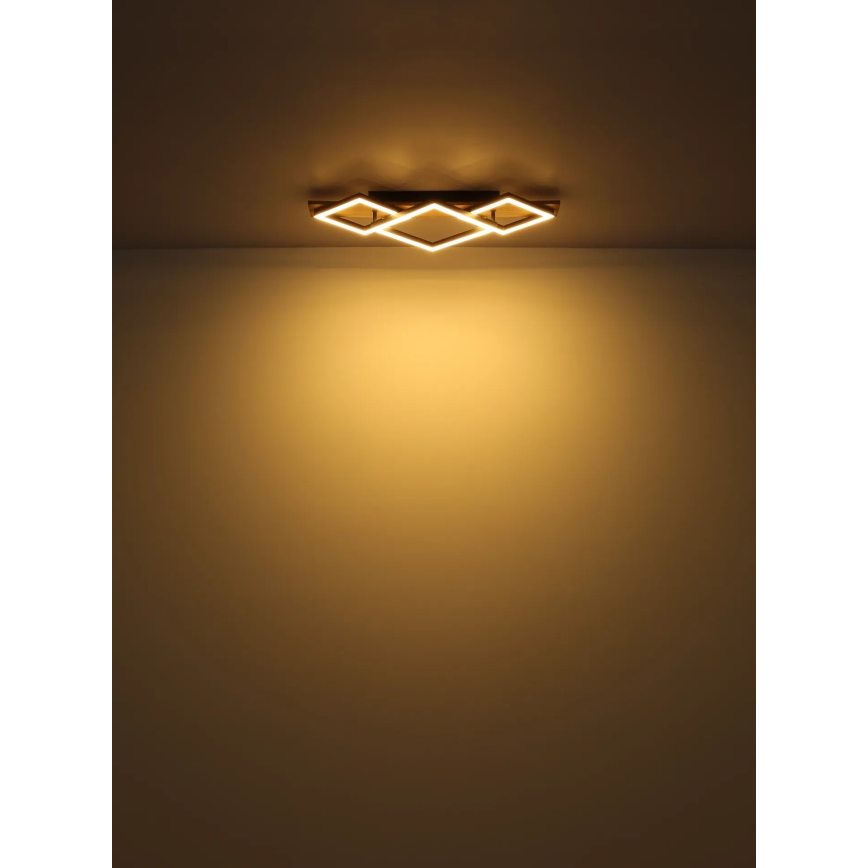 Globo - LED Stropné svietidlo LED/24W/230V