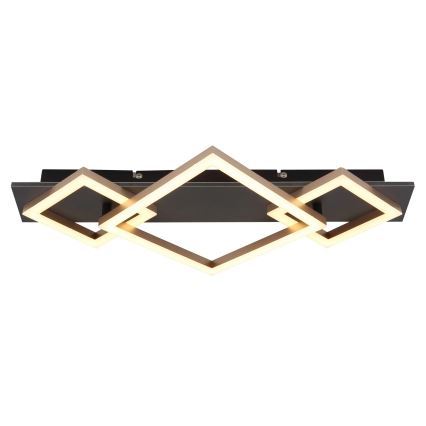 Globo - LED Stropné svietidlo LED/24W/230V
