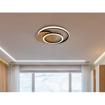 Globo - LED Stropné svietidlo LED/24W/230V čierna