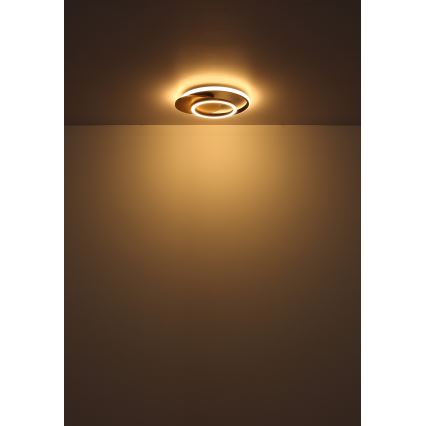 Globo - LED Stropné svietidlo LED/24W/230V čierna