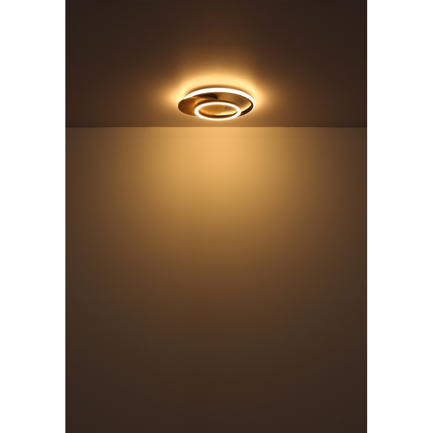 Globo - LED Stropné svietidlo LED/24W/230V čierna