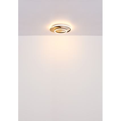 Globo - LED Stropné svietidlo LED/24W/230V čierna