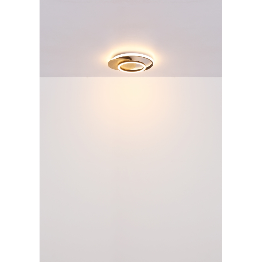 Globo - LED Stropné svietidlo LED/24W/230V čierna