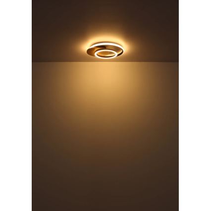 Globo - LED Stropné svietidlo LED/24W/230V