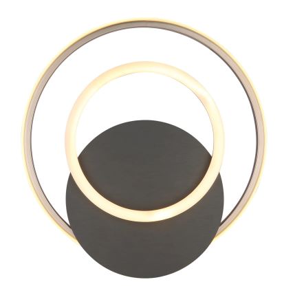 Globo - LED Stropné svietidlo LED/24W/230V
