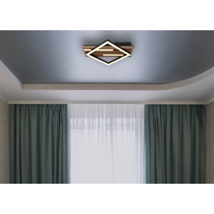 Globo - LED Stropné svietidlo LED/19W/230V 3000K 31x33 cm