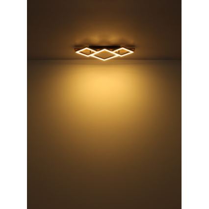 Globo - LED Stropné svietidlo LED/24W/230V + LED/8W 3000K 31x61cm