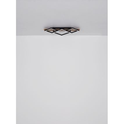 Globo - LED Stropné svietidlo LED/24W/230V + LED/8W 3000K 31x61cm