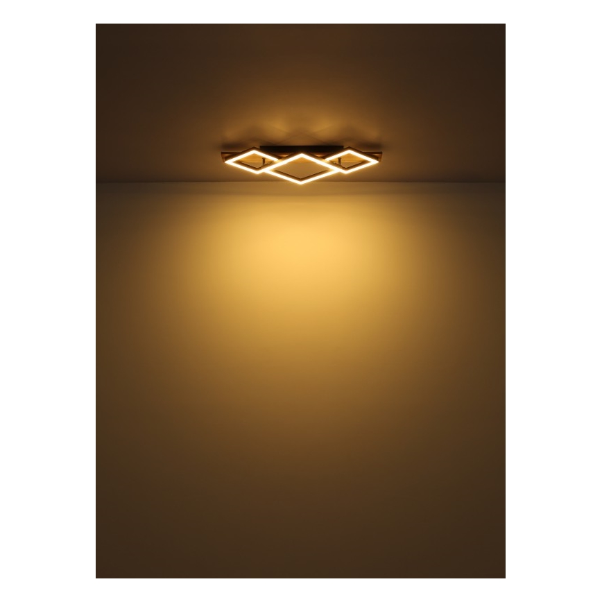 Globo - LED Stropné svietidlo LED/32W/230V 3000K 31x61cm