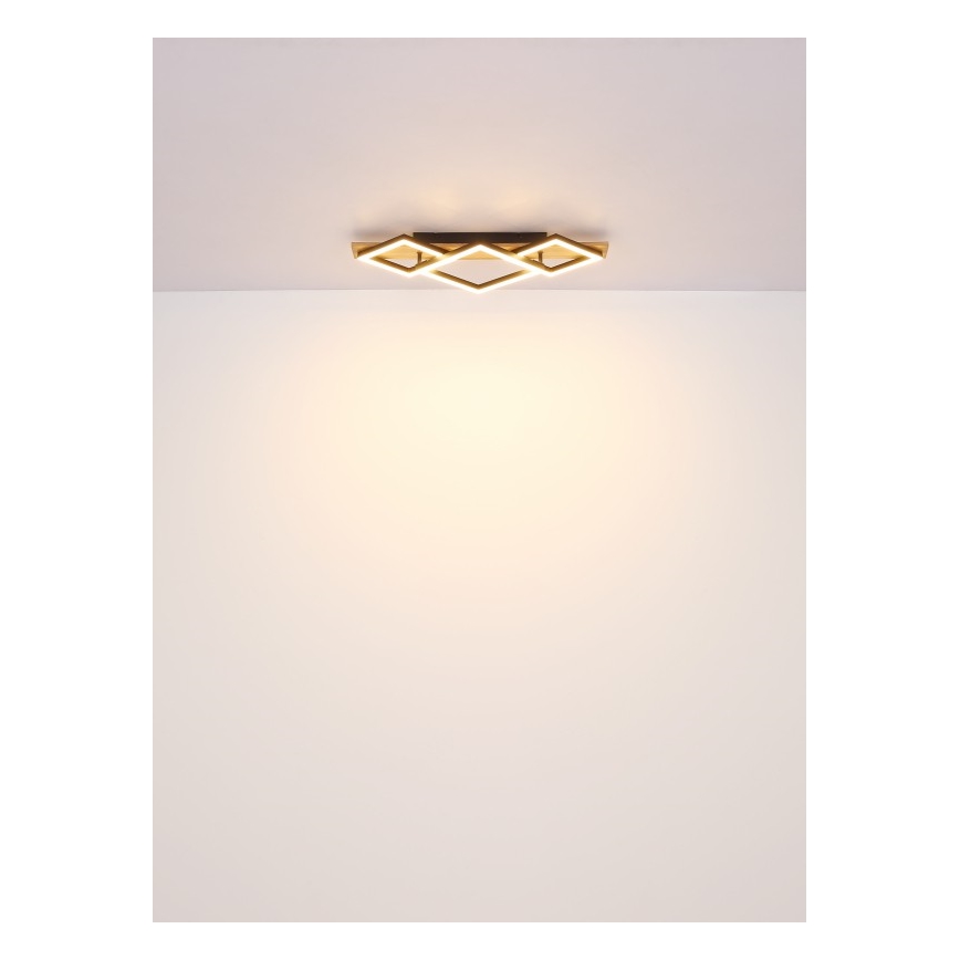 Globo - LED Stropné svietidlo LED/32W/230V 3000K 31x61cm