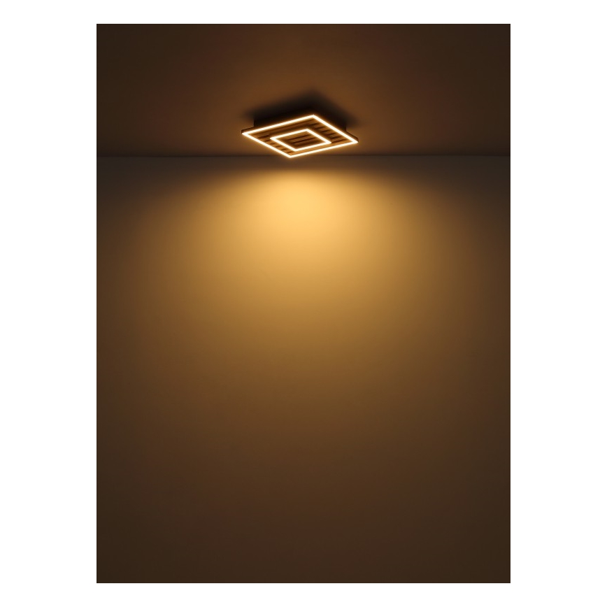 Globo - LED Stropné svietidlo LED/18W/230V 3000K 30x30 cm