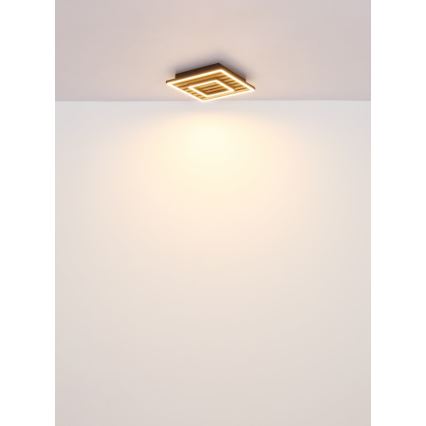 Globo - LED Stropné svietidlo LED/18W/230V 3000K 30x30 cm